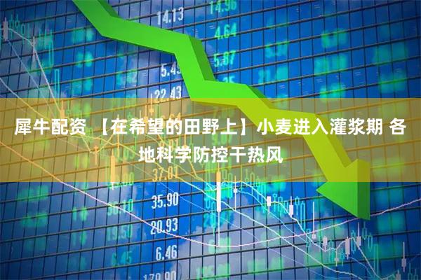 犀牛配资 【在希望的田野上】小麦进入灌浆期 各地科学防控干热风