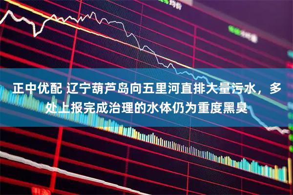 正中优配 辽宁葫芦岛向五里河直排大量污水，多处上报完成治理的水体仍为重度黑臭