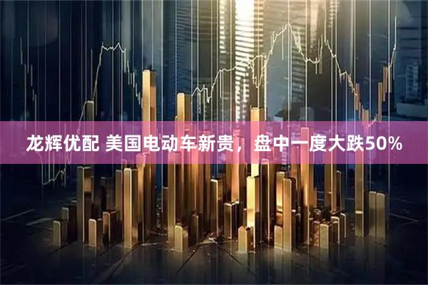 龙辉优配 美国电动车新贵，盘中一度大跌50%