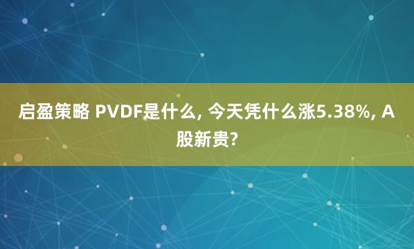 启盈策略 PVDF是什么, 今天凭什么涨5.38%, A股新贵?
