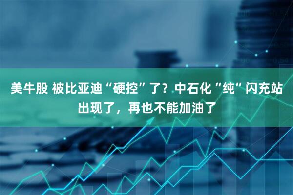 美牛股 被比亚迪“硬控”了？中石化“纯”闪充站出现了，再也不能加油了