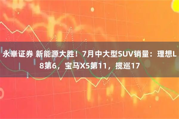 永崋证券 新能源大胜！7月中大型SUV销量：理想L8第6，宝马X5第11，揽巡17